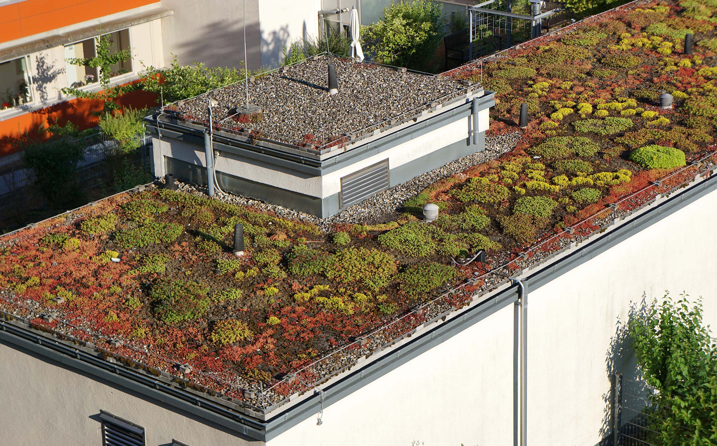 Dachbegrünung Dach mit bunter Begrünung und Kieselsteinen auf einem modernen Gebäude unter Sonnenschein.