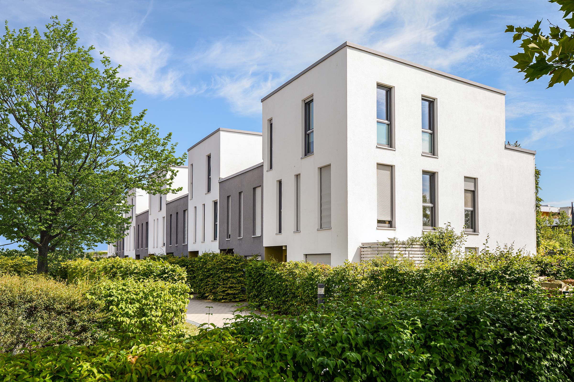 Flachdachlösungen mit Zukunft Moderne Reihenhäuser mit Flachdach, umgeben von grünen Büschen und Bäumen unter blauem Himmel.